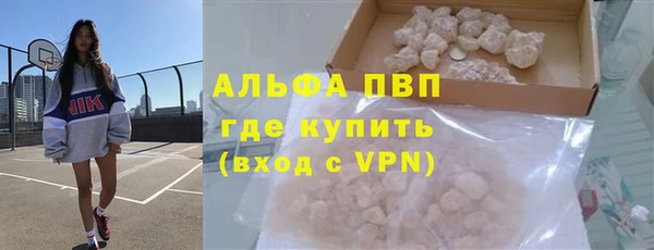 прущие грибы Нефтекумск