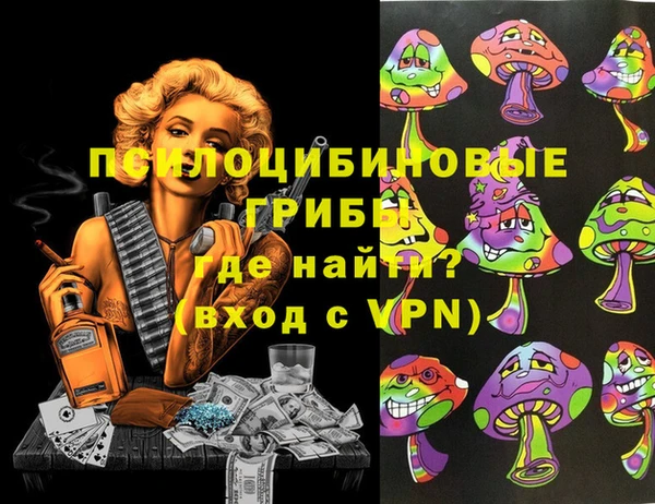 a pvp Новодвинск