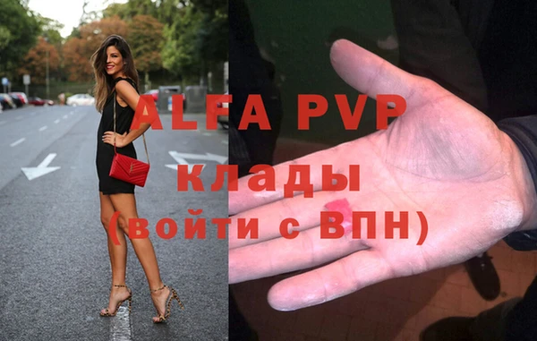 прущие грибы Нефтекумск