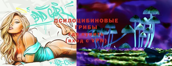 кристаллы Новозыбков