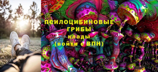 a pvp Новодвинск