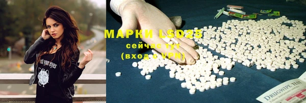 кристаллы Новозыбков