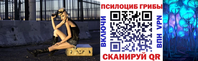 Купить закладки  Таруса  Псилоцибиновые грибы мухоморы 